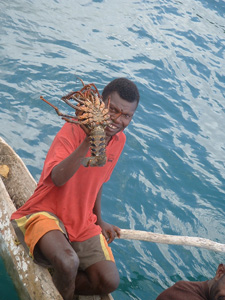Man bringing lobster to trade in Tanna, Vanuatu