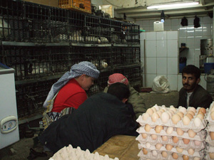 Eggs are not refrigerated in most parts of the country